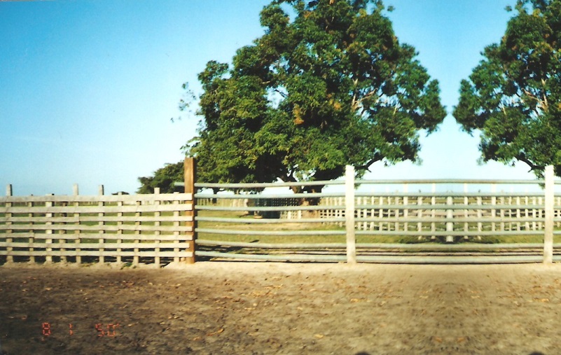 talanquera puerta tranca pasillos instalaciones de ganado corral encierro ganadería corrales ganaderos manejo de porton talanqueras trancas puertas pasillo encierros instalación ganado 007 talanquera puerta tranca pasillos instalaciones de ganado corral encierro ganadería corrales ganaderos manejo de porton talanqueras trancas puertas pasillo encierros instalación ganado 007 talanquera puerta tranca pasillos instalaciones de ganado corral encierro ganadería corrales ganaderos manejo de porton talanqueras trancas puertas pasillo encierros instalación ganado 007